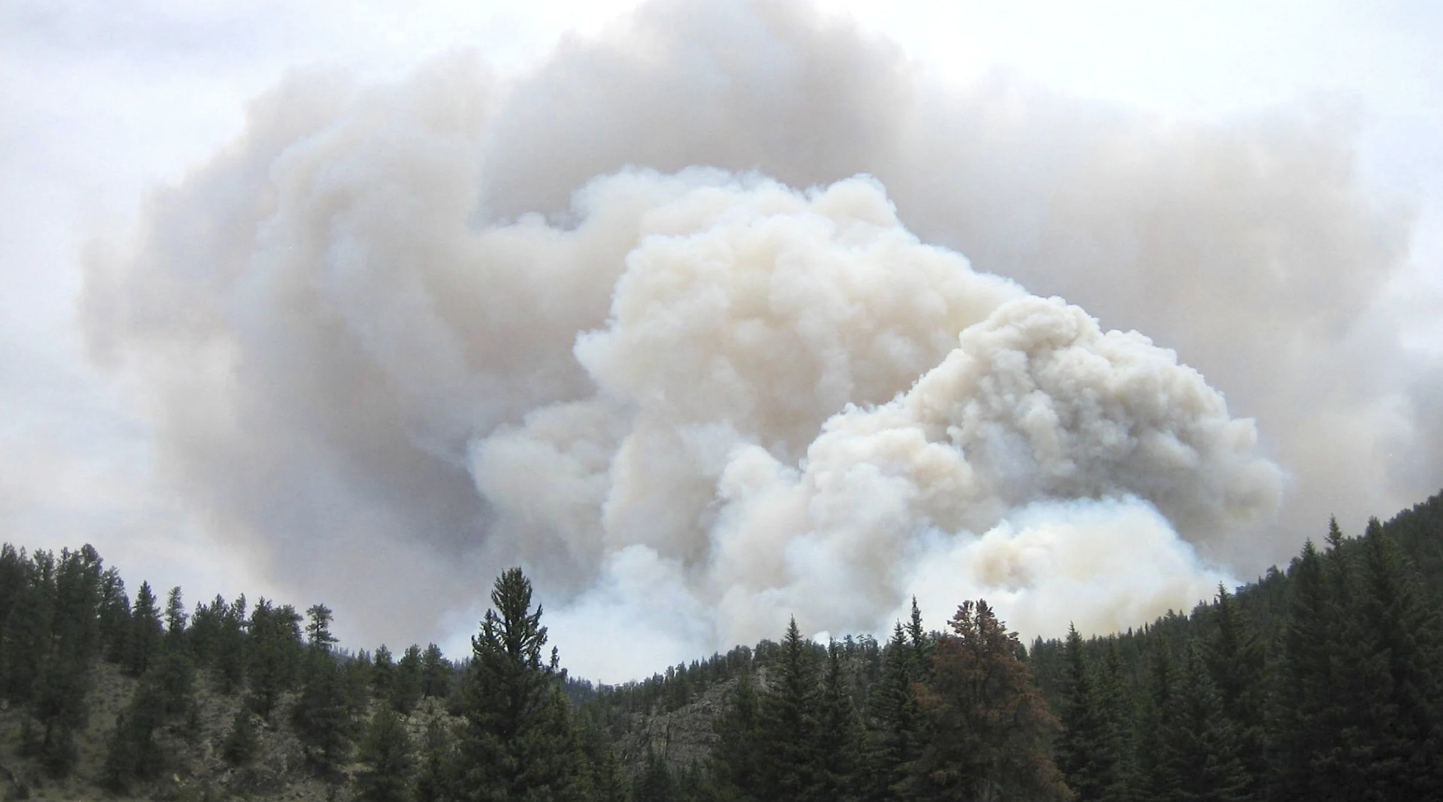 wildfire smoke